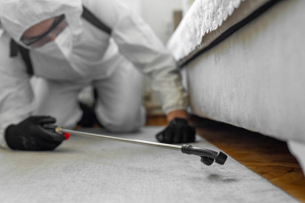 Professional Cockroach Control technician working in Spencer, WI